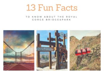 13-Fun-Facts-768x614
