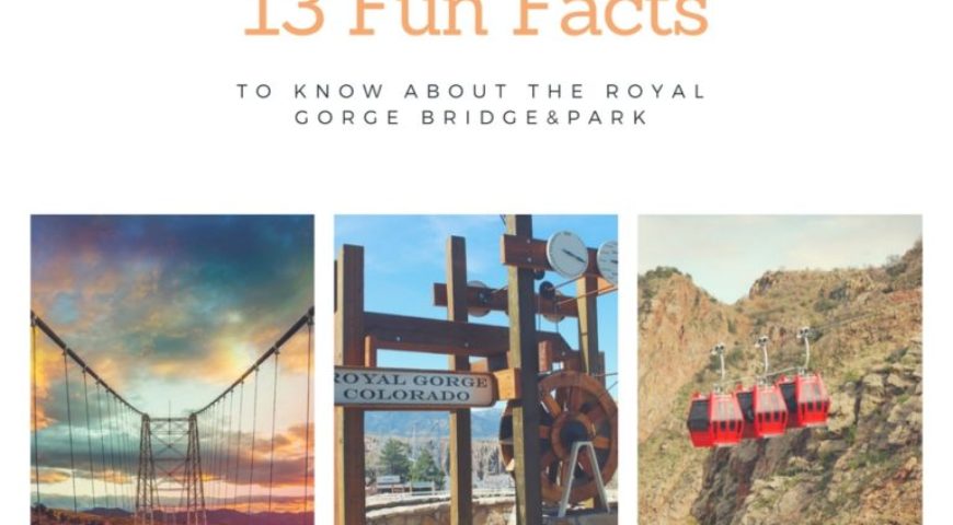 13-Fun-Facts-768x614