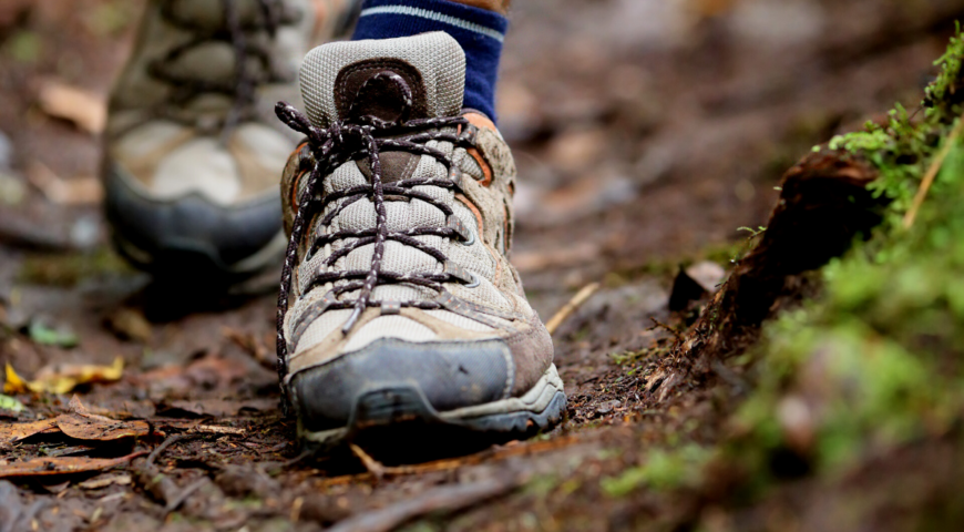 Top 4 Trails to Hike Near the Royal Gorge Bridge & Park