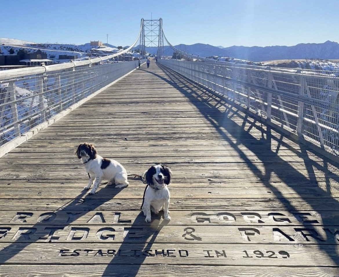 are dogs allowed at the royal gorge bridge